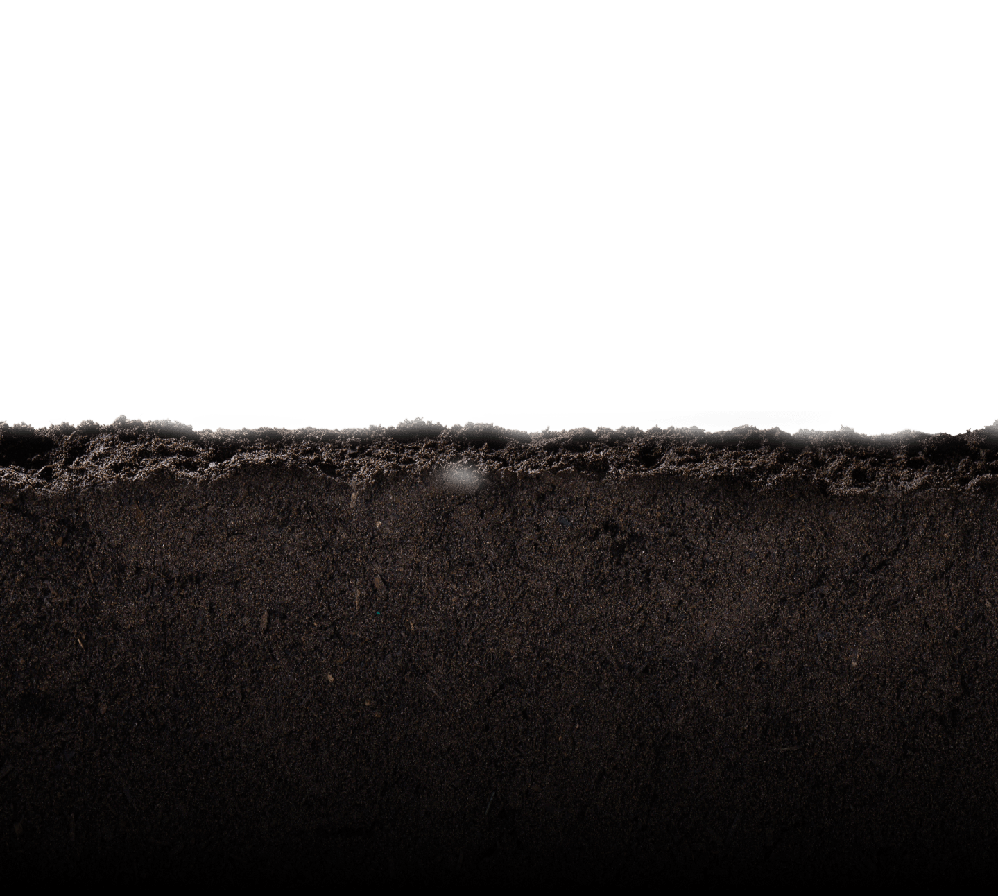 Soil