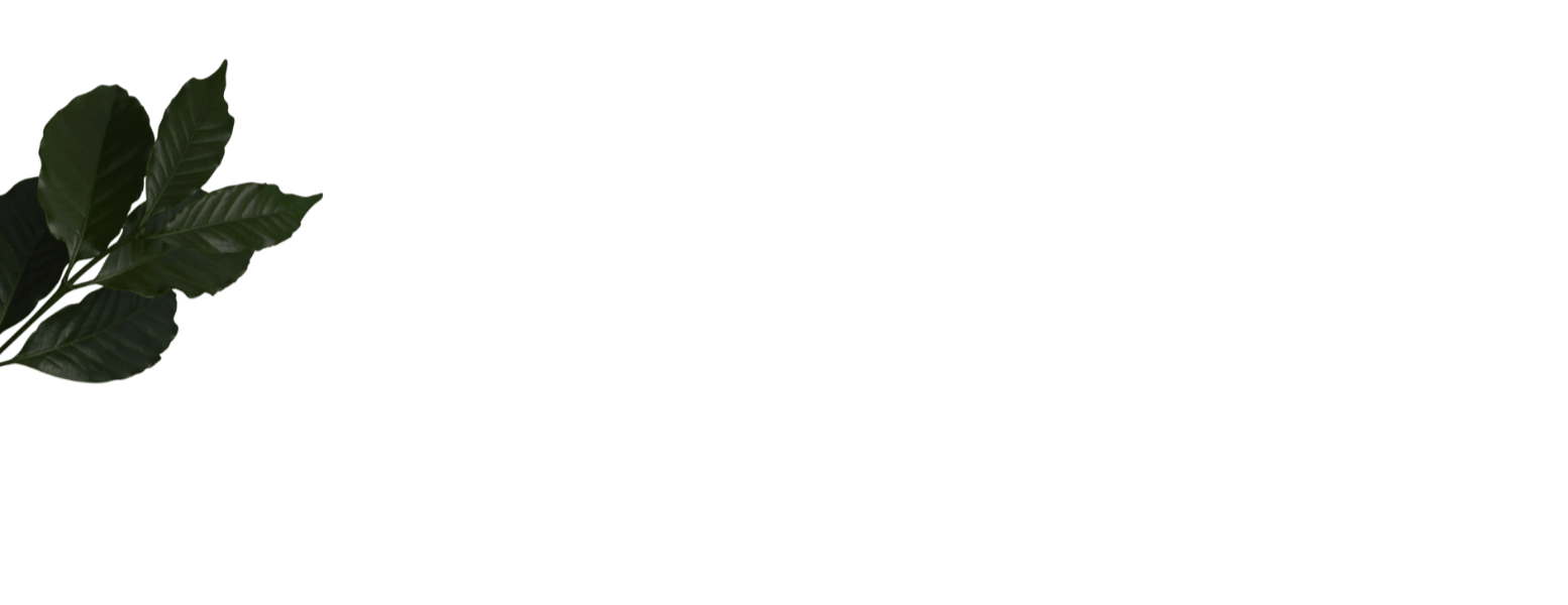 Coffee Leaves